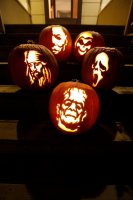 111030_pumpkins_02_JW.jpeg