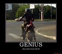 genius-funny-motorcycle-demotivational-poster-1248274471.jpg